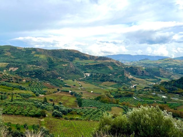 terroir_crete_venerato